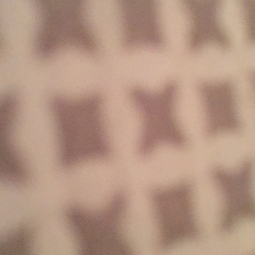 Meet your Posher, Roni